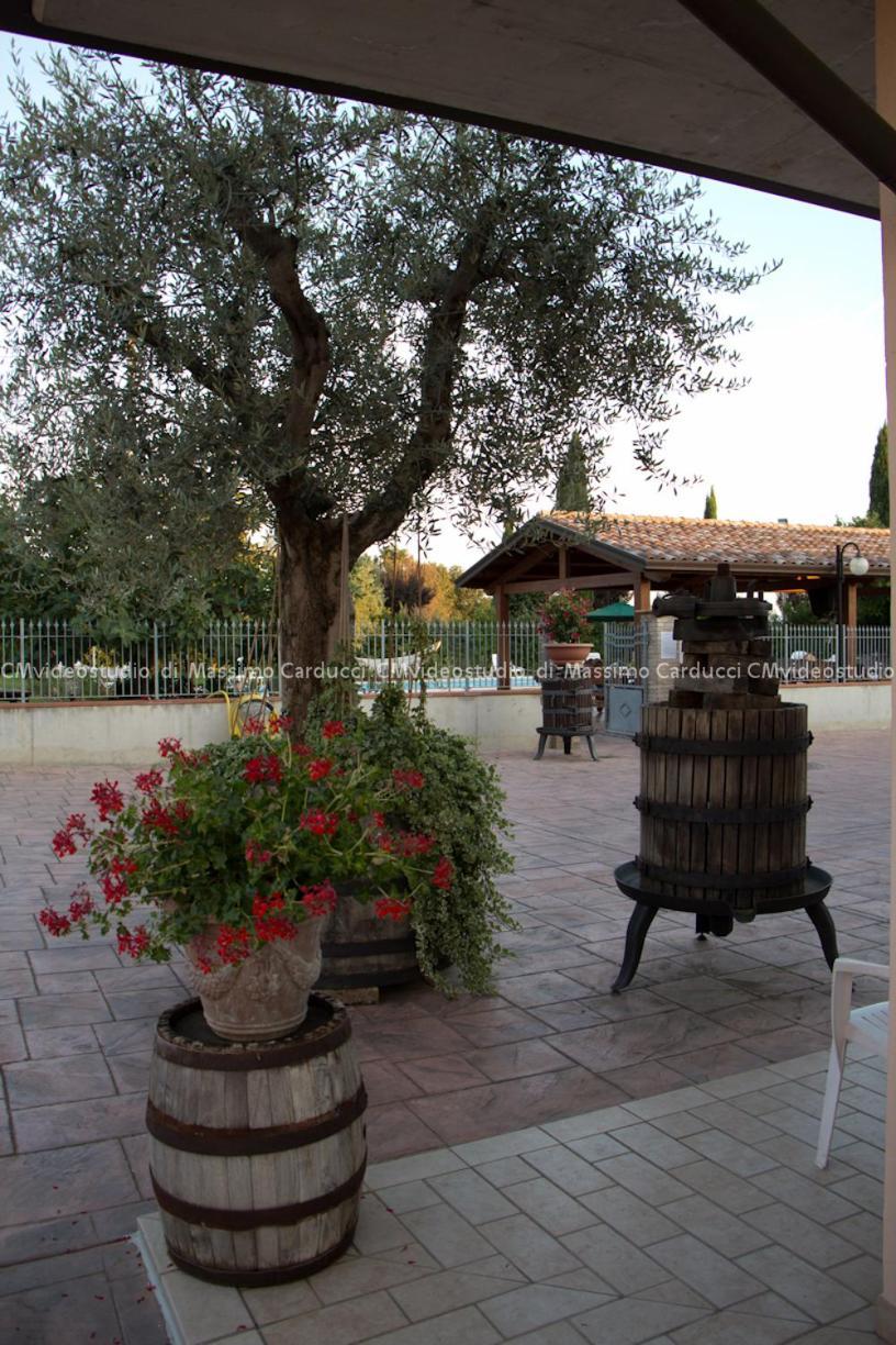 Agriturismo Valle Del Subasio Villa Assisi Exterior photo