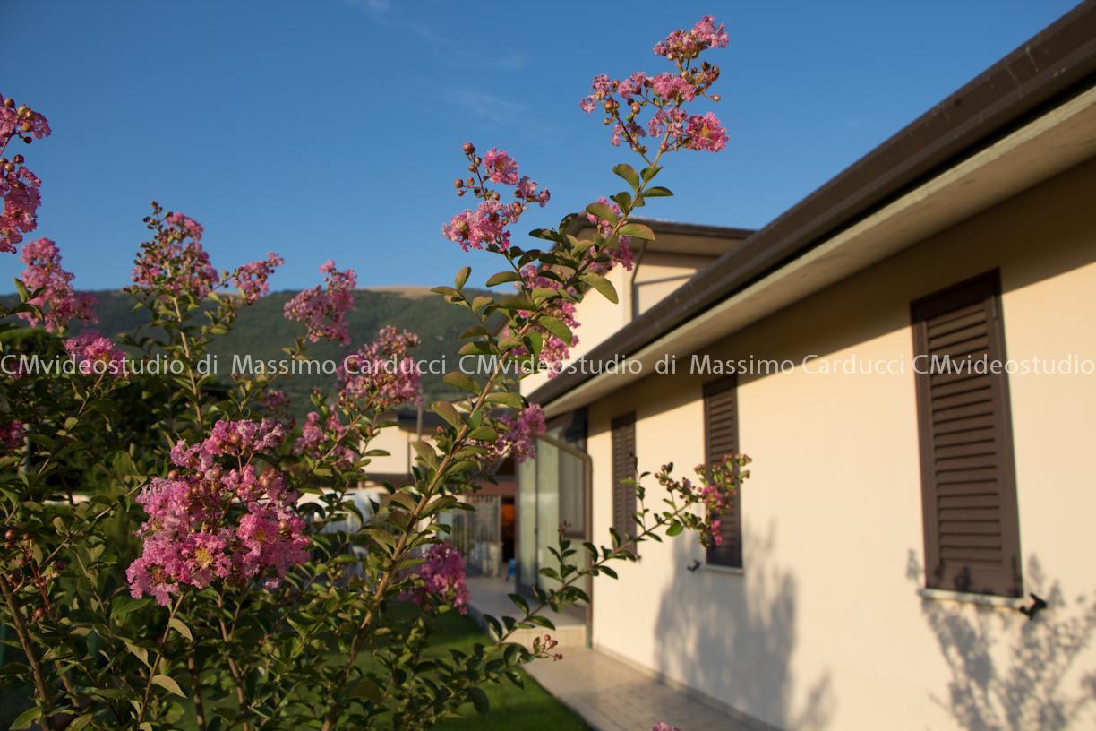 Agriturismo Valle Del Subasio Villa Assisi Exterior photo